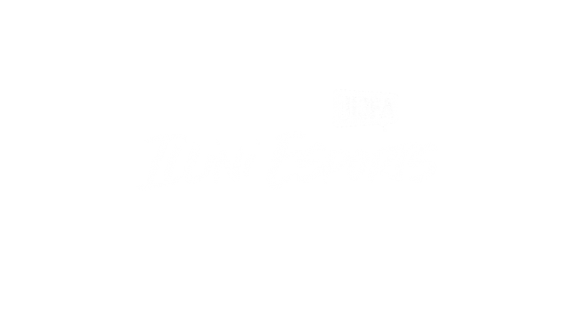Illini Esports word mark